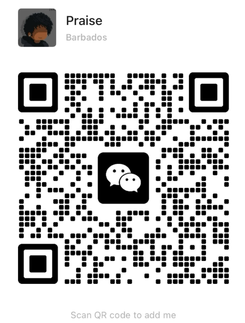 WeChat QR Code to add developer